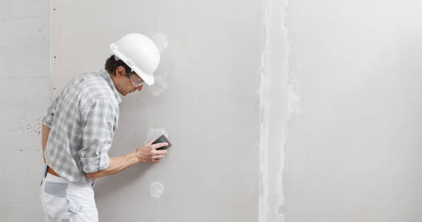 Best Water-Damaged Drywall Repair  in Orwigsburg, PA