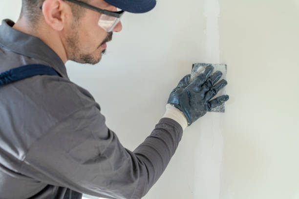 Best Wallpaper Removal and Painting  in Orwigsburg, PA