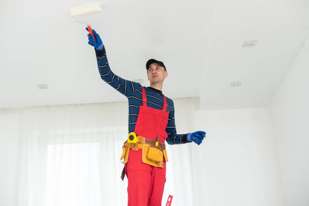 Best Drywall Crack Repair  in Orwigsburg, PA